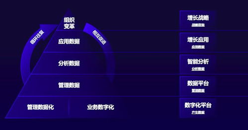 數據智能驅動業務增長 GrowingIO 張溪夢如何助力企業實現從數據洞察到廣告業務騰飛