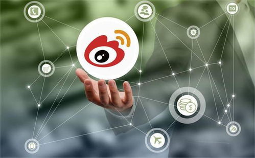 發力垂直領域，微博廣告業務實現穩健復蘇